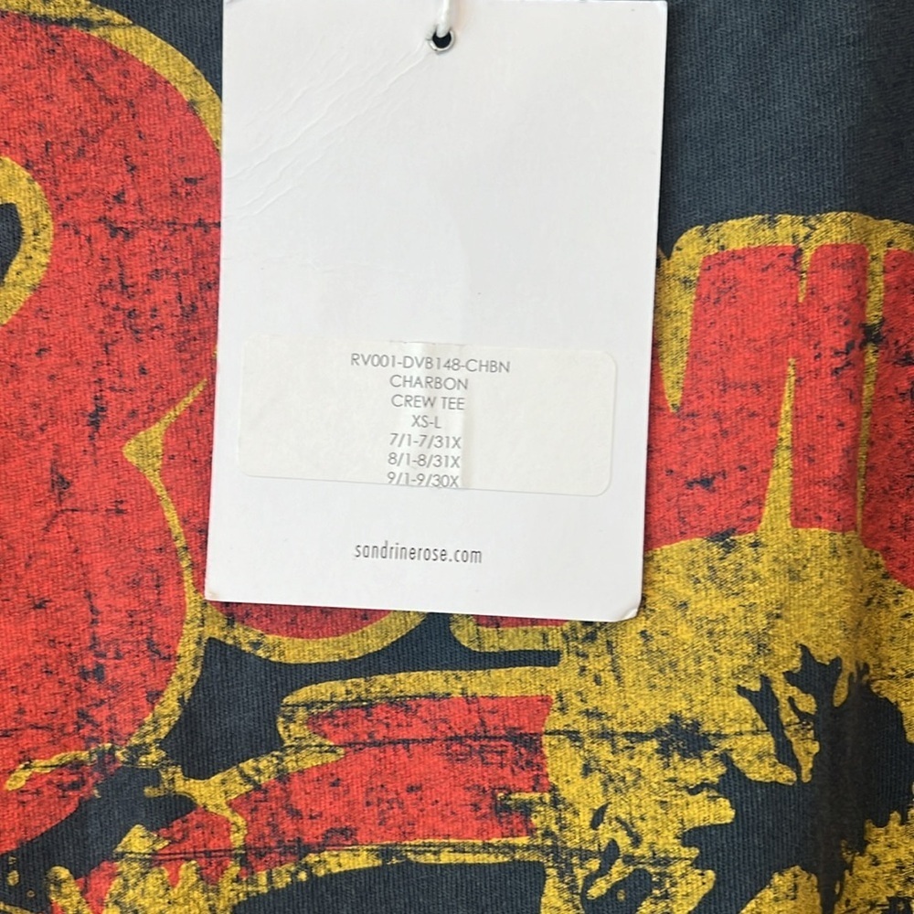nwt FREE PEOPLE SANDRINE Bowie distressed Tee - Picture 4 of 4